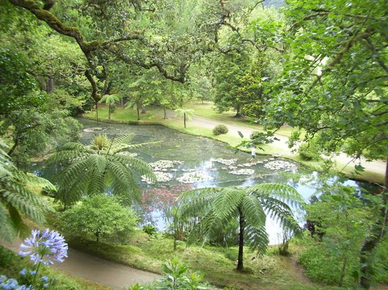 Nature and Luxury Flourish