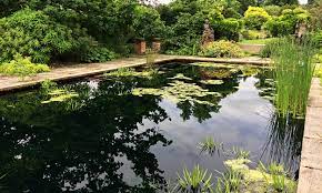 Meditation Lawn & Reflection Pond